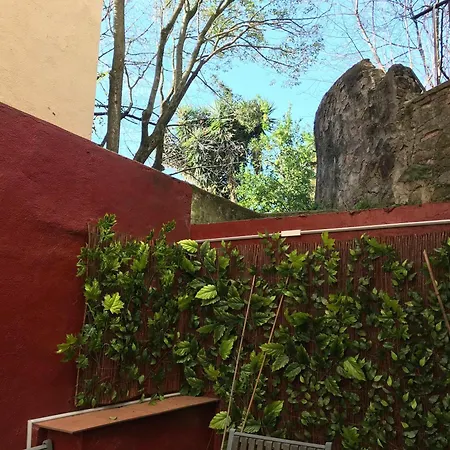 Lägenhet Oasis Ebi00551