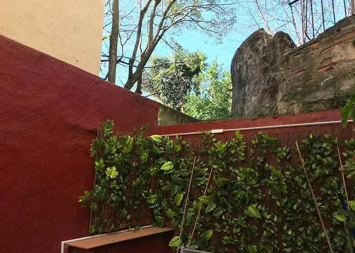 Appartement Oasis Ebi00551